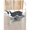 Image 10 : Magellanic Penguin Full Body Bird Taxidermy