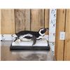 Image 1 : Magellanic Penguin Full Body Bird Taxidermy