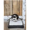 Image 3 : Magellanic Penguin Full Body Bird Taxidermy