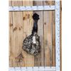Image 1 : Emu Shoulder Mount Bird Taxidermy