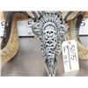 Image 2 : Spectacular Hand Carved Ram Sheep Skull Taxidermy