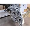 Image 3 : Spectacular Hand Carved Ram Sheep Skull Taxidermy