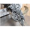 Image 4 : Spectacular Hand Carved Ram Sheep Skull Taxidermy