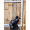 Image 2 : Silver Fox Full Body Taxidermy Mount