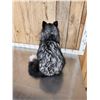 Image 4 : Silver Fox Full Body Taxidermy Mount