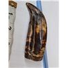 Image 5 : Ancient Fossilized Killer Whale Tooth