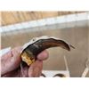 Image 2 : Set Of 10 Front Grizzly Bear Claws Taxidermy