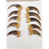 Image 4 : Set Of 10 Front Grizzly Bear Claws Taxidermy