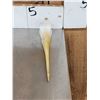 Image 2 : African Yellow Billed Stork Skull Taxidermy