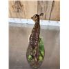 Image 5 : Baby Roe Deer Fawn Full Body Taxidermy Mount