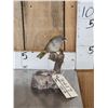 Image 1 : Female Sierra Finch Full Body Bird Taxidermy
