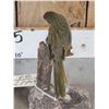 Image 5 : Female Sierra Finch Full Body Bird Taxidermy