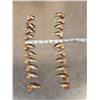 Image 1 : Complete Set Of 20 Polar Bear Claws Taxidermy