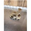 Image 5 : African Meerkat Full Body Taxidermy Mount