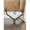 Image 2 : Vic Lemmon Bronze Elk Skull Sculpture