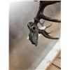 Image 5 : Vic Lemmon Bronze Elk Skull Sculpture