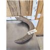 Image 6 : Ancient Partially Fossilized Steppe Bison Horn Core
