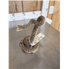 Image 6 : Rattlesnake Full Body Taxidermy Mount