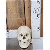 Image 3 : Vintage Authentic Human Skull Medical Teaching Specimen