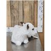 Image 2 : Baby British White Beef Calf Full Body Taxidermy Mount