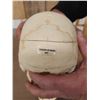 Image 10 : Authentic Human Skull Medical Teaching Specimen