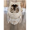 Image 3 : Big Polar Bear Skull Taxidermy