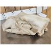 Image 7 : Big Polar Bear Skull Taxidermy