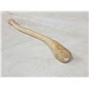 Image 3 : Walrus Baculum Taxidermy