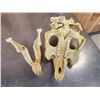 Image 5 : Reproduction Manatee Skull Taxidermy