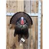 Image 1 : Strutting Turkey Full Body Bird Taxidermy Mount