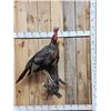 Image 1 : Turkey On A Limb Full Body Bird Taxidermy