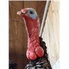 Image 6 : Turkey On A Limb Full Body Bird Taxidermy