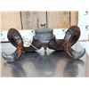 Image 7 : Victorian Era Scottish Ram's Horn Snuff Mull