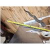 Image 6 : Indian Black Buck Full Body Taxidermy Mount