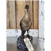 Image 3 : Pygmy Cormorant Full Body Bird Taxidermy