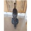 Image 6 : Pygmy Cormorant Full Body Bird Taxidermy