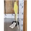 Image 2 : Indian Ringneck Parrot Full Body Bird Taxidermy