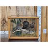 Image 1 : Male & Female Spruce Grouse In Glass Display Bird Taxidermy