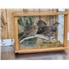 Image 2 : Male & Female Spruce Grouse In Glass Display Bird Taxidermy