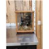 Image 6 : Male & Female Spruce Grouse In Glass Display Bird Taxidermy