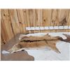 Image 3 : 2 Soft Tanned Goat Skins Taxidermy