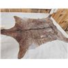 Image 4 : 2 Soft Tanned Goat Skins Taxidermy