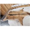 Image 5 : 2 Soft Tanned Goat Skins Taxidermy