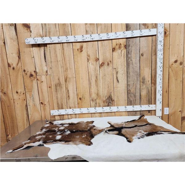 2 Soft Tanned Goat Skins Taxidermy