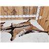 Image 2 : 2 Soft Tanned Goat Skins Taxidermy