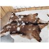 Image 4 : 2 Soft Tanned Goat Skins Taxidermy
