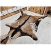 Image 5 : 2 Soft Tanned Goat Skins Taxidermy