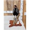 Image 2 : Kalij Pheasant Full Body Bird Taxidermy