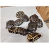 Image 2 : 10 Red Eared Slider Turtle Shells Taxidermy