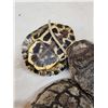 Image 4 : 10 Red Eared Slider Turtle Shells Taxidermy